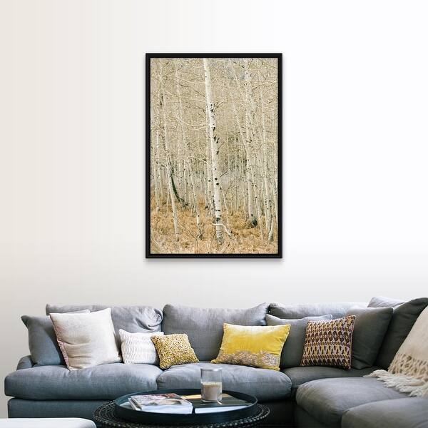 "Aspen trees, Sugarhouse Park, Salt Lake City, Utah" Black Float Frame